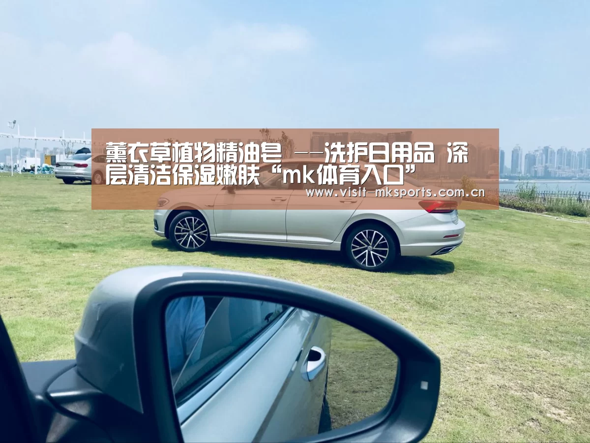 薰衣草植物精油皂 --洗护日用品 深层清洁保湿嫩肤“mk体育入口”(图3) mk体育入口
