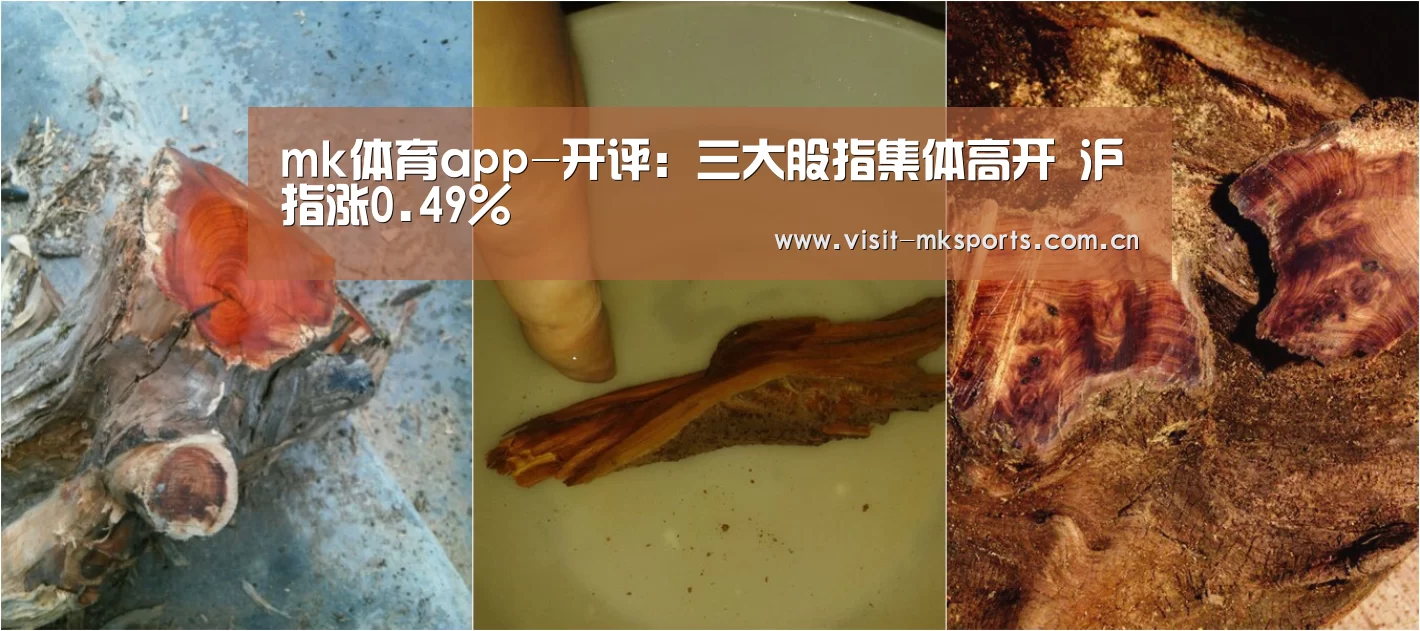 mk体育app