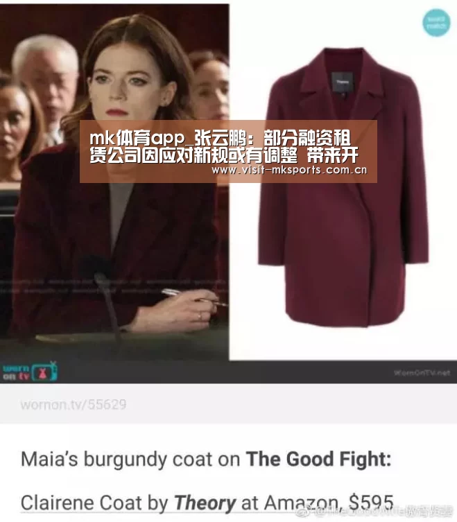 mk体育app_张云鹏:部分融资租赁公司因应对新规或有调整 带来开拓业务机会(图1) mk体育入口