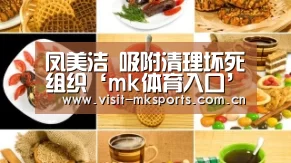 凤美洁 吸附清理坏死组织‘mk体育入口’(图3) mk体育入口