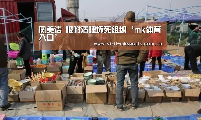 凤美洁 吸附清理坏死组织‘mk体育入口’(图2) mk体育入口