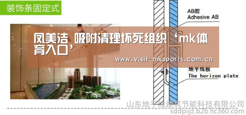 凤美洁 吸附清理坏死组织‘mk体育入口’(图4) mk体育在线