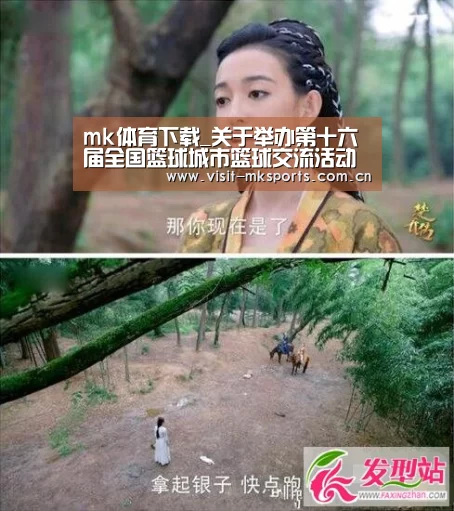 mk体育入口