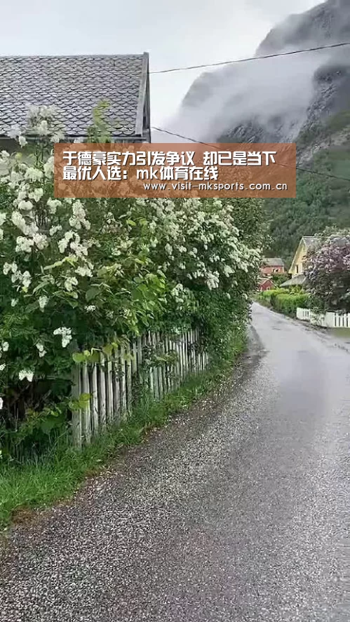 于德豪实力引发争议 却已是当下最优人选:mk体育在线(图3) mk体育入口