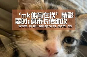 mk体育入口