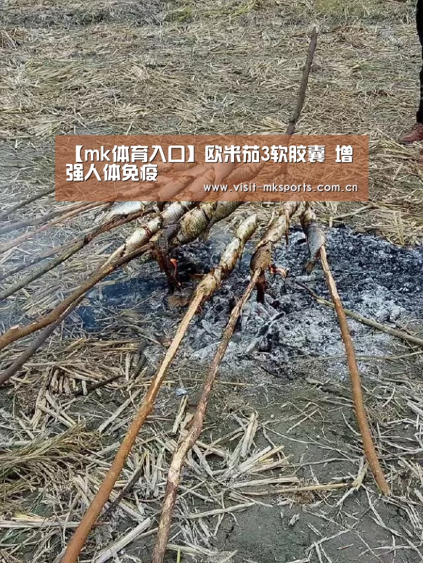 【mk体育入口】欧米茄3软胶囊 增强人体免疫(图1) mk体育app