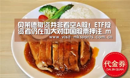 mk体育入口