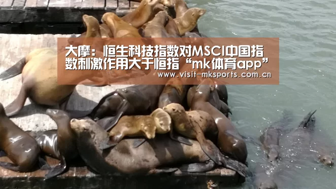 大摩:恒生科技指数对MSCI中国指数刺激作用大于恒指“mk体育app”(图3) mk体育app