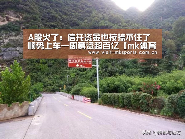 A股火了:信托资金也按捺不住了 顺势上车一周募资超百亿【mk体育在线】(图2) mk体育下载